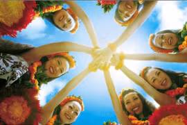 Trình chiếu chùm phim về thảm họa 