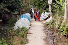 Nát lòng cha mẹ kẻ giết cướp man rợ ở hiệu vàng Vững Bắc