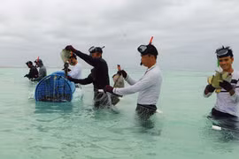 “Xuân trên đảo Trường Sa”