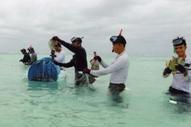 “Xuân trên đảo Trường Sa”