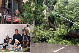 Rủi ro hay tắc trách? 