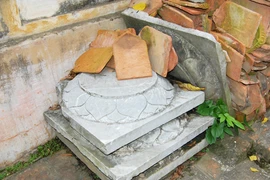 Hiển hiện một thảm họa bảo tồn