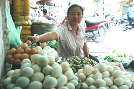 Trứng dư thừa vẫn cho nhập khẩu 