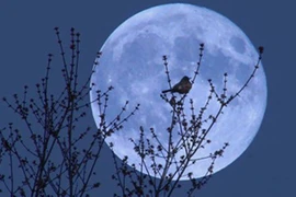 Chiêm ngưỡng “trăng xanh” vào tối 31-8 