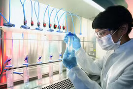 Thông tin gây sốc mới xuất hiện một bệnh giống bệnh AIDS: Chỉ là tin vịt 