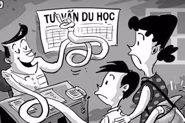 Trung tâm tư vấn du học: Bát quái trận đồ 