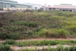 Khó chống lãng phí đất công