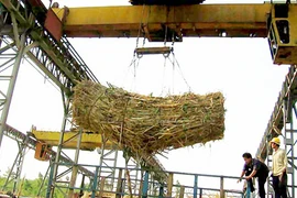 Sẽ nhập khẩu 80.000 tấn đường của Hoàng Anh Gia Lai ở Lào?