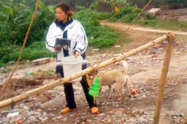 Nên kéo dài thời hạn giao đất cho nông dân