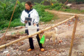 Nên kéo dài thời hạn giao đất cho nông dân