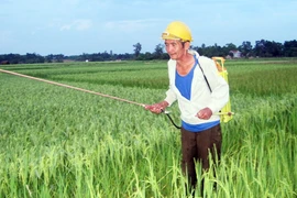 Kỳ lạ người đàn ông "nghiện" thuốc trừ sâu