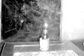 Điện... đom đóm