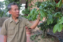 Gặp chiến sĩ từng hai lần truy điệu sống