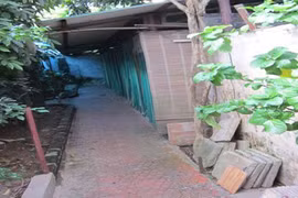 Thử vào café "chuồng"