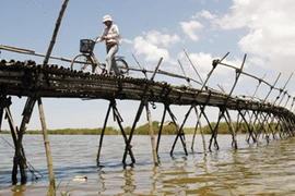 Dập dìu sông nước Quảng Nam