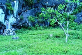 Một “Tam Đảo” ở Đồng Cao 