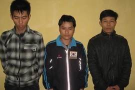 “Tú ông” nuôi gái bán dâm