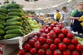 Nước Nga-cơ hội và thách thức