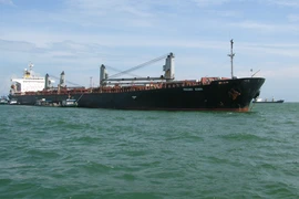 Đầu tư cho đội tàu Vinalines: Trăm nghìn tỷ đồng có ném xuống biển? 