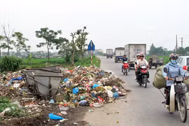 Ngập ngụa trong rác vì dự án “rùa” 