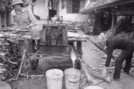 Mật ngọt cũng lắm công phu...