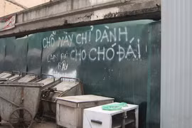 Nhếch nhác quá!