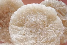 Tiếng chim cũng chìm nghỉm 