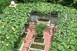 Nông thôn hóa thành thị 