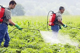 Thủ phạm giấu mặt gây ra 7 loại bệnh tật