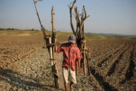 Sự đỏng đảnh của thời tiết 