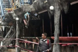 Thái Lan: Cháy hộp đêm, 4 người chết