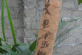Bí ẩn cây nhãn bỗng dưng nổi chữ