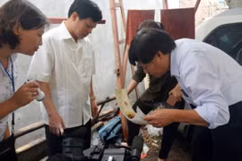 Phát hiện ổ bọ gậy ở nhà dân, Phó Chủ tịch UBND TP phê bình lãnh đạo phường