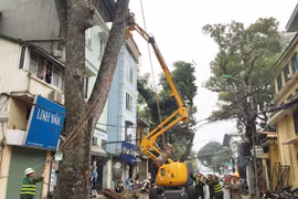 TP Hà Nội cắt tỉa cây xanh bằng công nghệ mới: Hiệu suất công việc tăng gấp 5 lần