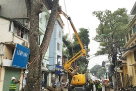 TP Hà Nội cắt tỉa cây xanh bằng công nghệ mới: Hiệu suất công việc tăng gấp 5 lần