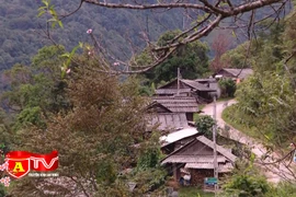 Mùa xuân nơi "cổng trời" xứ Nghệ