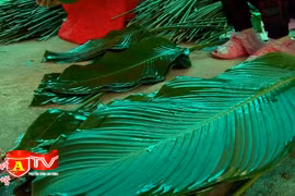 Ngày mùa vui ở làng lá dong Tràng Cát 