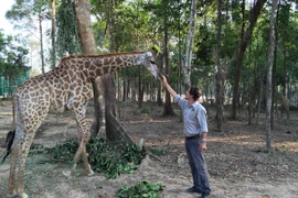 Thông tin hàng ngàn động vật chết ở Vinpearl Safari là sai sự thật