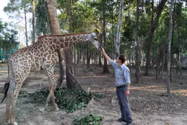 Thông tin hàng ngàn động vật chết ở Vinpearl Safari là sai sự thật