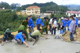 Xây dựng nông thôn mới: Tránh nôn nóng, đạt tiêu chí bằng mọi giá