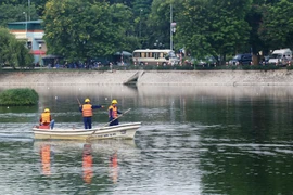 Gấp rút làm sạch hồ Hà Nội