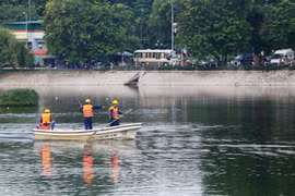 Gấp rút làm sạch hồ Hà Nội