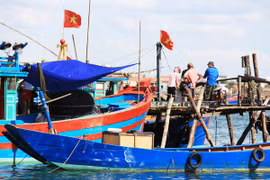  Vụ cá chết hàng loạt: Triển khai gói tín dụng 1.500 tỷ đồng hỗ trợ ngư dân 