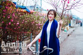 Thiếu nữ mang sắc xuân xuống phố Hà Nội
