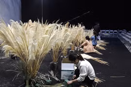 Hình ảnh hậu trường Tuần lễ thời trang thu đông 2017