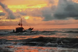 Ngỡ ngàng trước vẻ đẹp Việt Nam