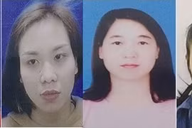 Trưởng phòng hành chính nhân sự tham gia đường dây làm giấy tờ giả