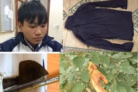 Nam học sinh lớp 10 gây trọng án để kiếm tiền ăn tiêu