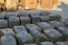 Phát lộ hơn nửa tấn cần sa ép thành bánh giấu trong container