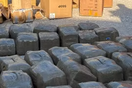 Phát lộ hơn nửa tấn cần sa ép thành bánh giấu trong container